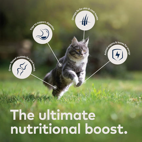 ZIWI® Peak Air-Dried Venison Recipe for Cats