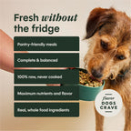 Instinct FreshDried Meal Blends Chicken & SuperGreens Blend for Adult Dogs