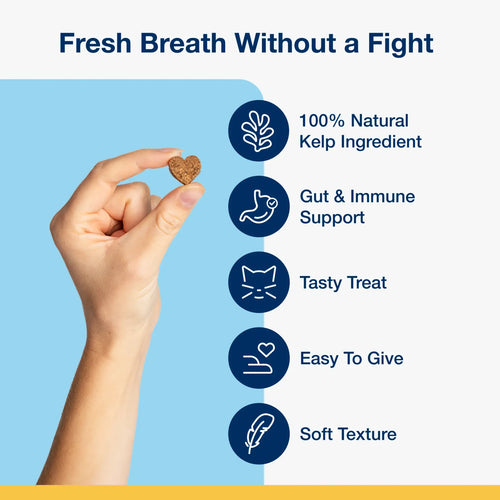 ProDen PlaqueOff® Holistic Soft Bites - Oral Care with Gut & Immune Support Sweet Potato and Pumpkin Flavor