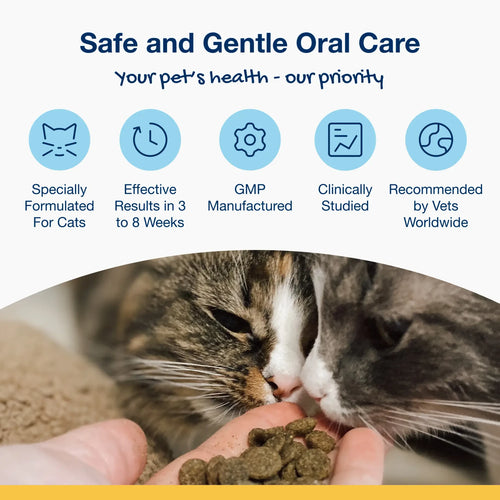 ProDen PlaqueOff® Holistic Soft Bites - Oral Care with Gut & Immune Support Sweet Potato and Pumpkin Flavor