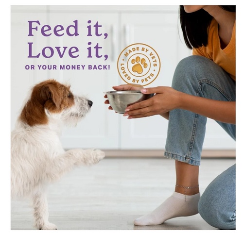 The Missing Link® Senior Supplement for Dogs 1 lb. Powder