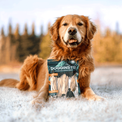 Dogginstix Braided Lamb Collagen 6 (5 Pack Bag)
