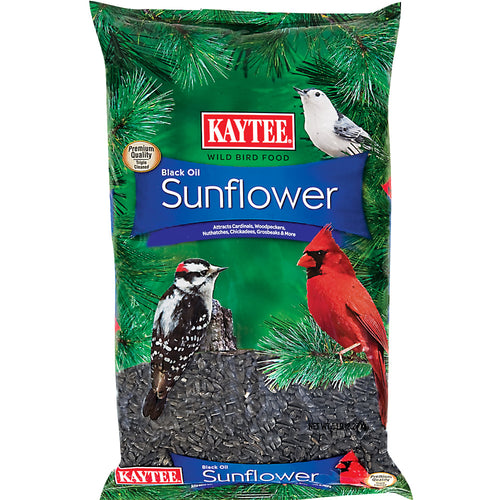 Kaytee Black Oil Sunflower