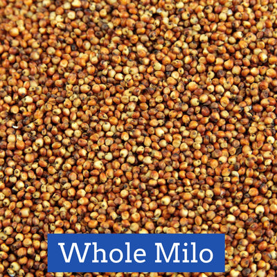 Whole Milo, 50 lb.